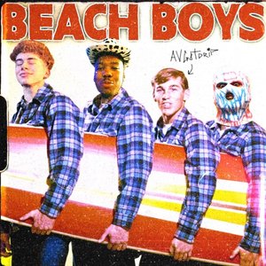 Bild för 'Beach Boys'