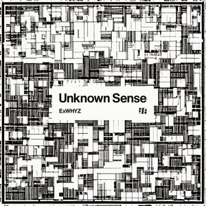 Image for 'Unknown Sense'