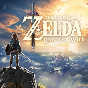 'The Legend of Zelda: Breath of the Wild' için resim