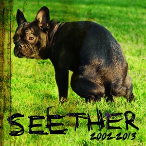 “Seether: 2002 - 2013”的封面