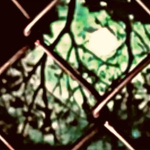 Image for 'wutuwant'