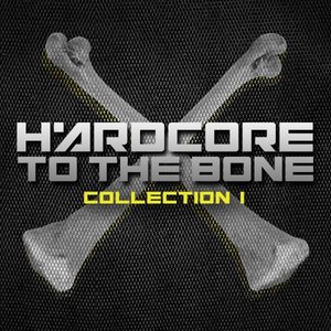 Изображение для 'Hardcore to the Bone - Collection 1'