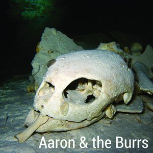 Immagine per 'Aaron & the Burrs'