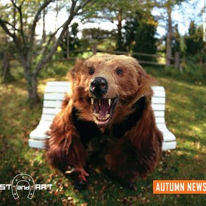 'Autumn News'の画像