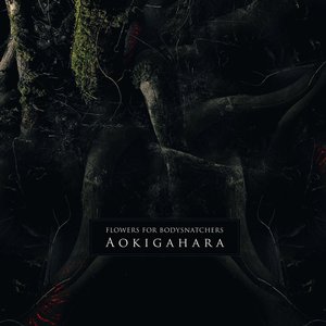 Bild für 'Aokigahara'