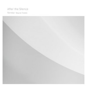 Bild für 'After the Silence'