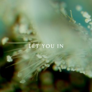 'Let You In (feat. East Forest)' için resim