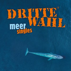 Image for 'Meer Singles'