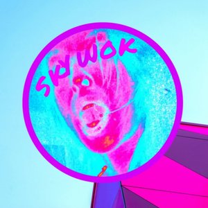 “SKYWOK”的封面