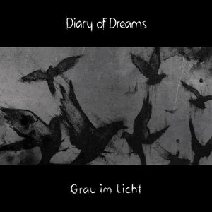 Imagen de 'Grau im Licht'