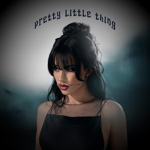 Image for 'pretty little thing'