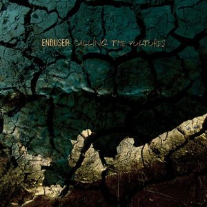 Image for 'calling the vultures'