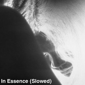 'In Essence (Slowed)' için resim