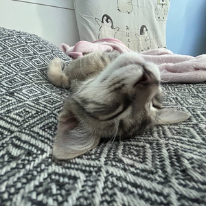 one_dead