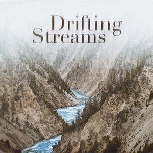 “Down Stream”的封面