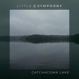 Image for 'Catchacoma Lake'