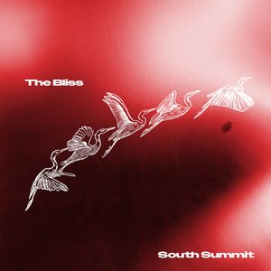 Image for 'The Bliss'