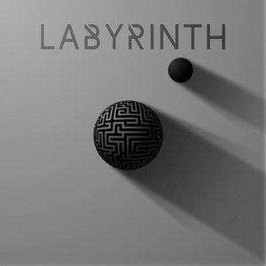 “Labyrinth”的封面