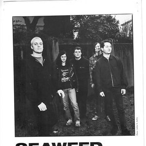 Image for 'Seaweed'