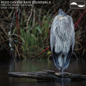 Image for 'Reed Canyon Rain Soundwalk'