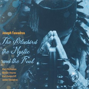 “The Bluebird, the Mystic and the Fool”的封面