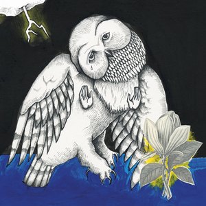 Изображение для 'The Magnolia Electric Co.'