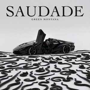 “SAUDADE”的封面