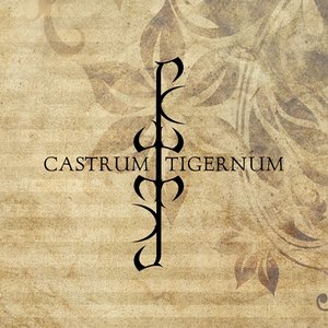 “Castrum Tigernum”的封面