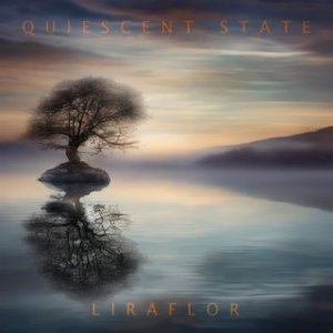 Image for 'Quiescent State'