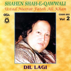 Image for 'Dil Lagi Bhool Jani, Vol. 2'