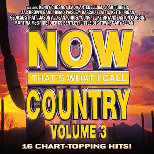 Image for 'Now That's What I Call Country Volume 3'