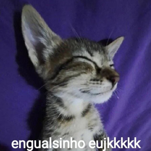 oConceito