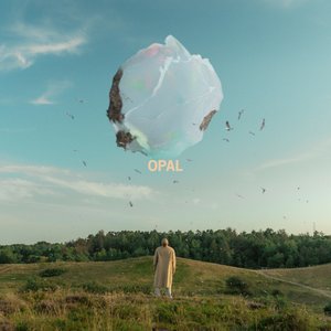 Image for 'Opal'