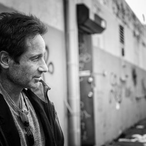 Image for 'David Duchovny'