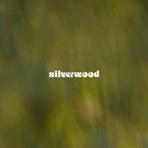 Immagine per 'silverwood'