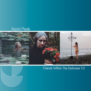 “Friends Within The Darkness 1-3”的封面
