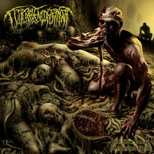 Изображение для 'The Slow Decay of Infested Flesh'