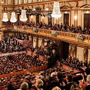 Image for 'The Vienna Philharmonic Orchestra'