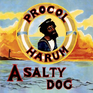 Image for 'A Salty Dog... Plus'