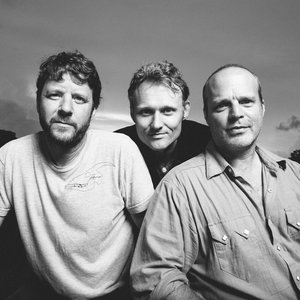 “Medeski, Martin & Wood”的封面