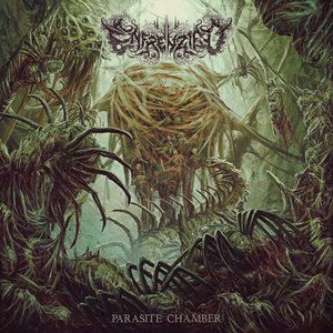 Image for 'Parasite Chamber'