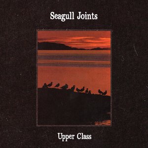 “seagull joints”的封面