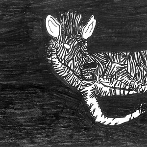 Bild für 'Sheena the Zebra'