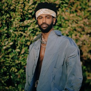 Zdjęcia dla 'Big Sean'