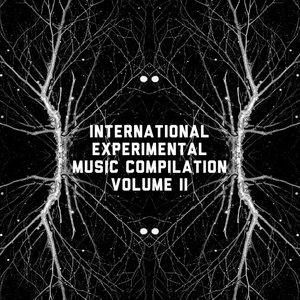 Image for 'Broken tape records presents: International experimental music compilation (200 way split)'