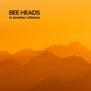 “In another lifetime”的封面