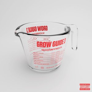“GROW GUIDE 3”的封面