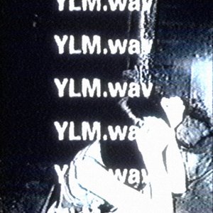 Image for 'YLM'