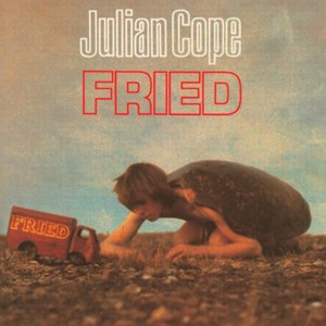 Image for 'Fried'