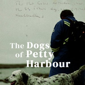 “The Dogs Of Petty Harbour”的封面